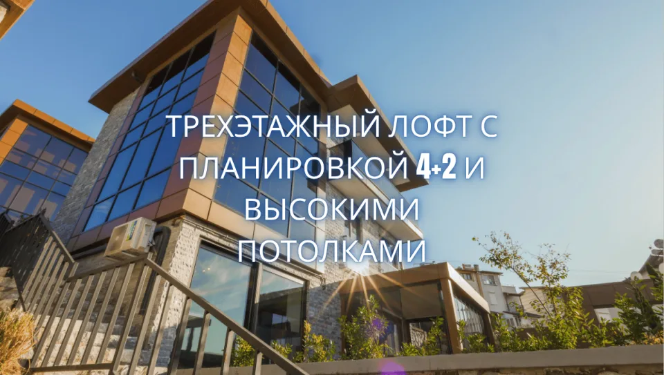 portfolio-image